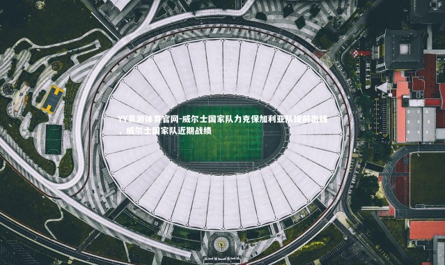 YY易游体育官网-威尔士国家队力克保加利亚队提前出线，威尔士国家队近期战绩